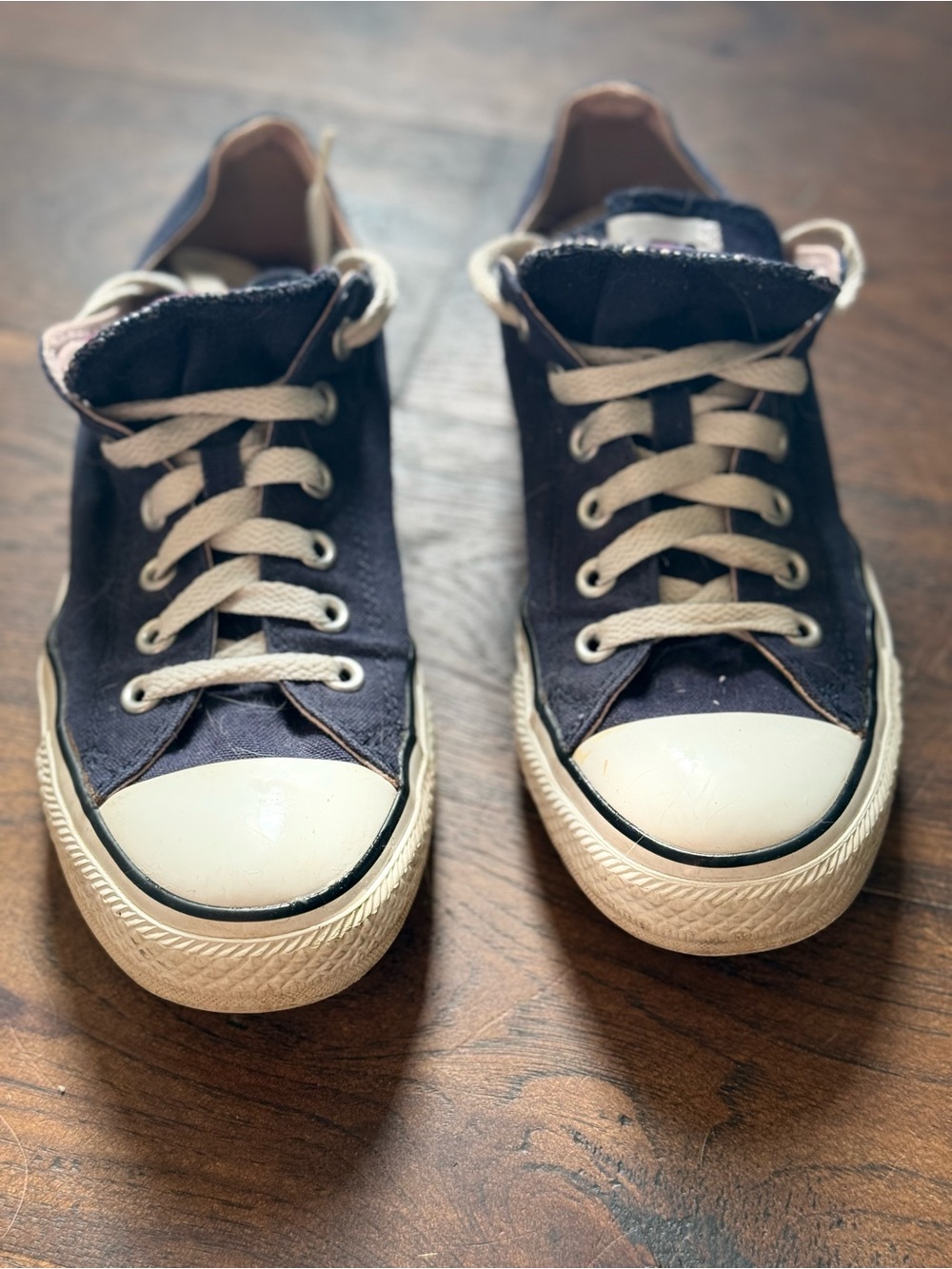 Canvas Low-Top Lace-Up Sneakers in Blue and White